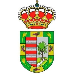 Maratón en Pista Villa de Tegueste