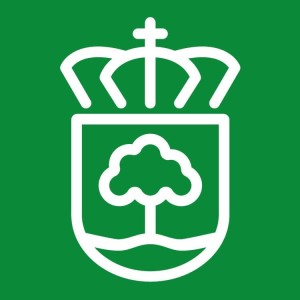 Subida Popular Virgen del Camino