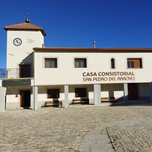 Carrera San Pedreños