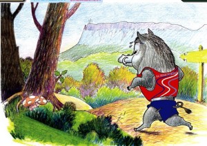 San Silvestre Menesa