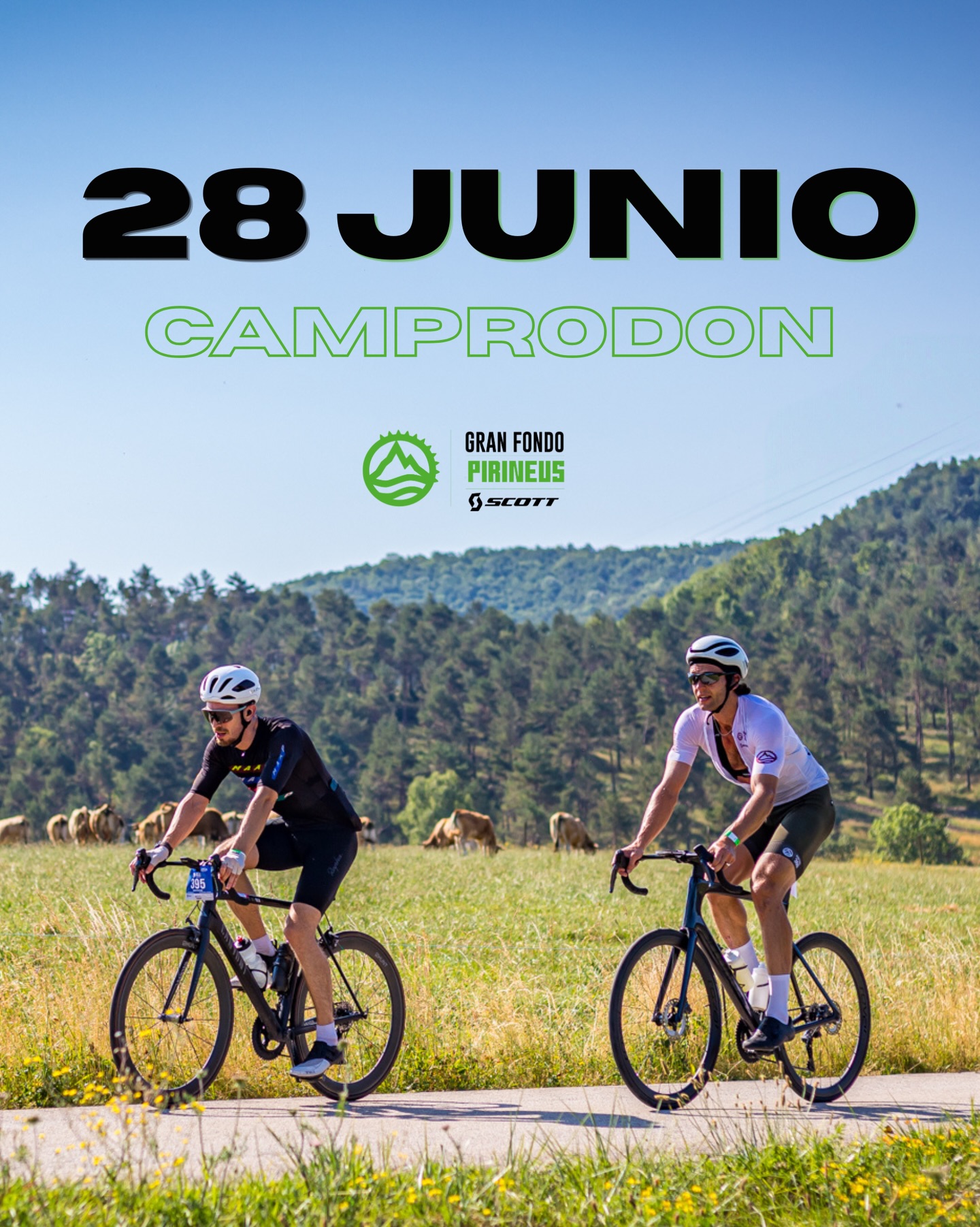 Gran Fondo 360